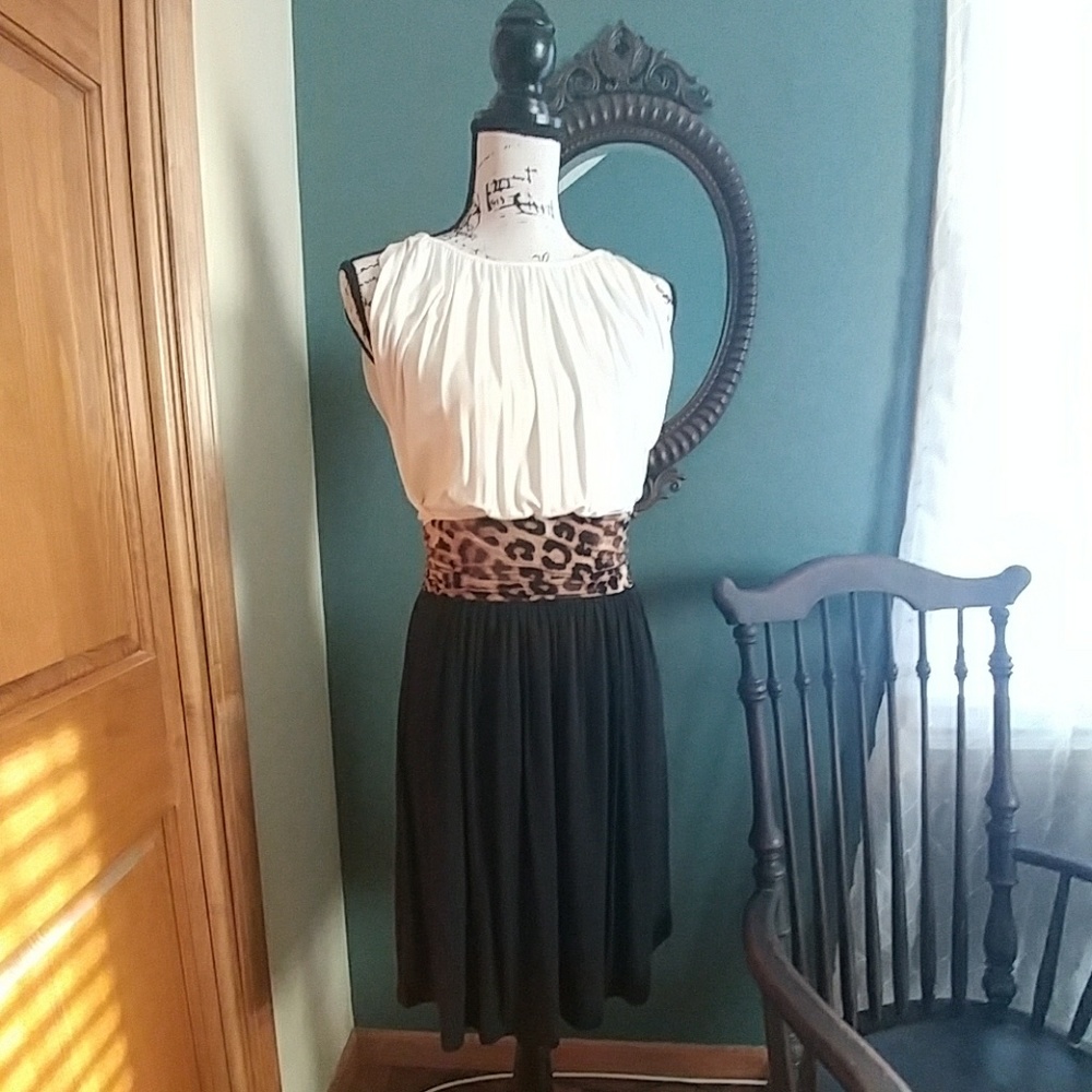 Express dress